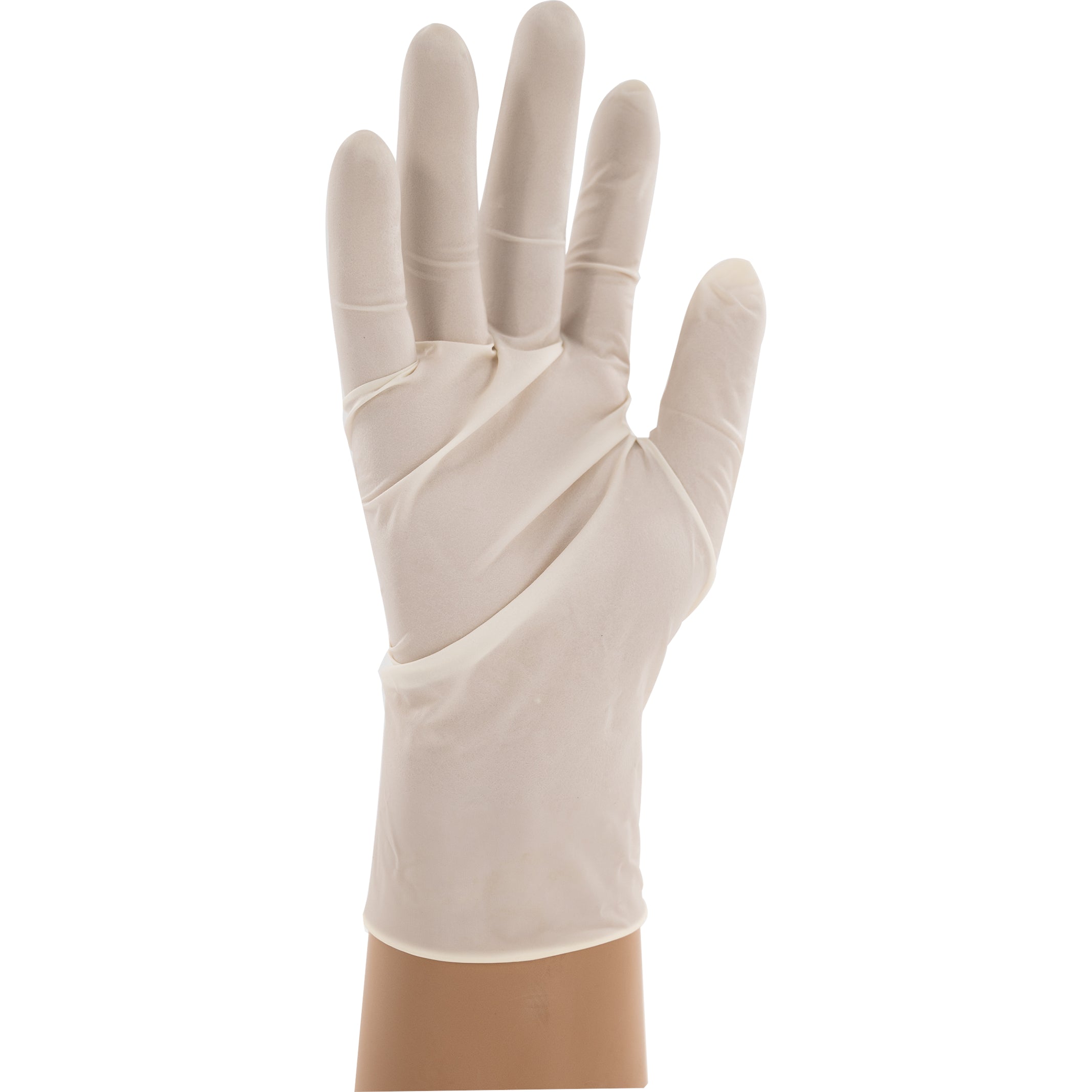 5 Mil Powder Free Latex Gloves, Case